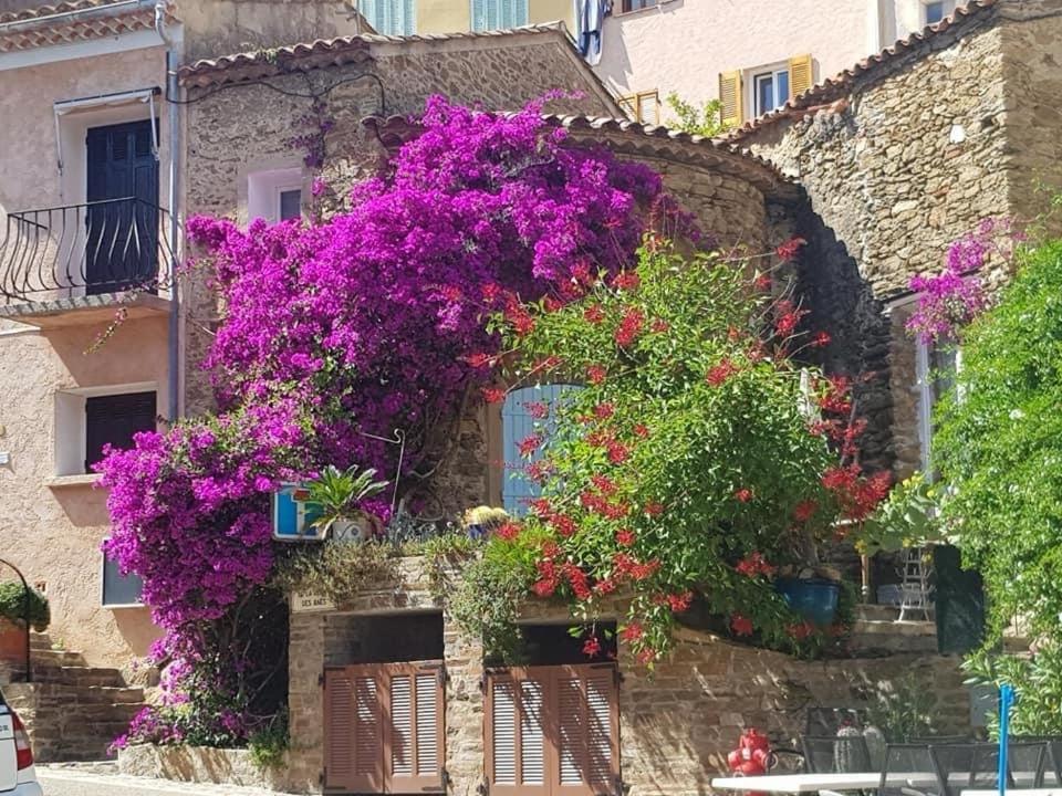 Maison De Vacances Medievale Bormes-Les-Mimosas Village المظهر الخارجي الصورة