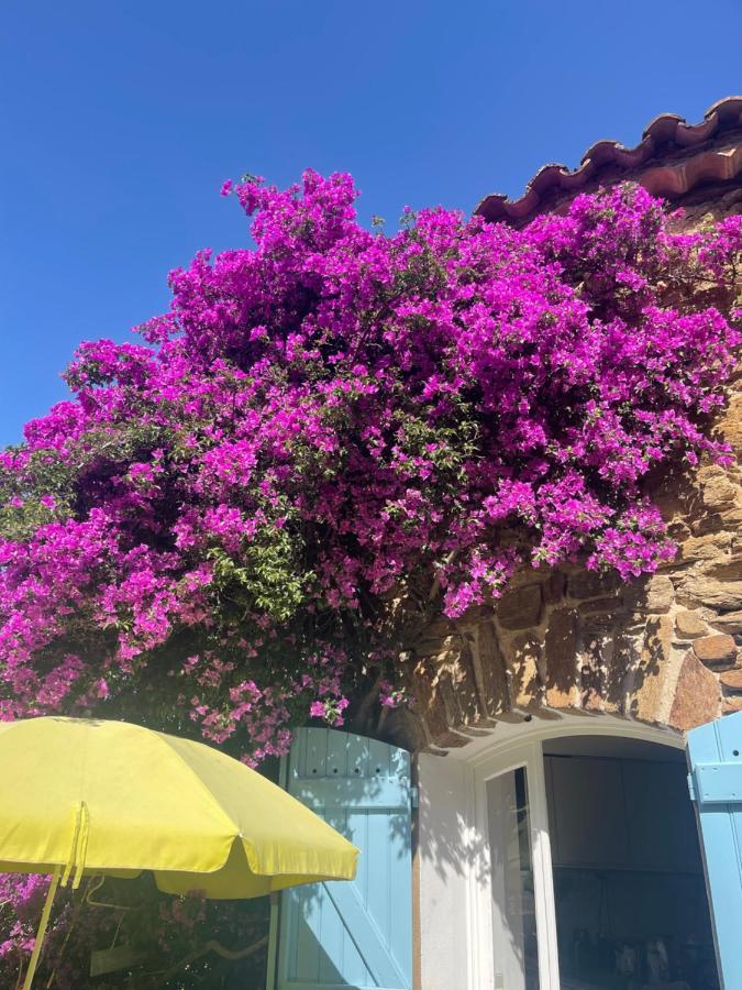Maison De Vacances Medievale Bormes-Les-Mimosas Village المظهر الخارجي الصورة