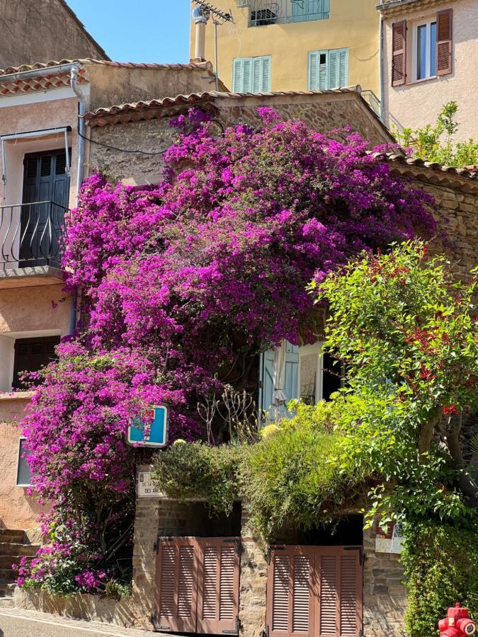 Maison De Vacances Medievale Bormes-Les-Mimosas Village المظهر الخارجي الصورة