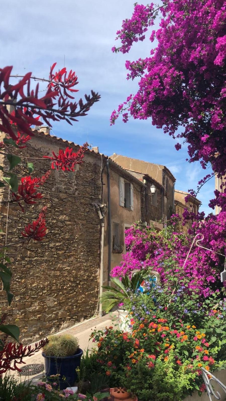 Maison De Vacances Medievale Bormes-Les-Mimosas Village المظهر الخارجي الصورة